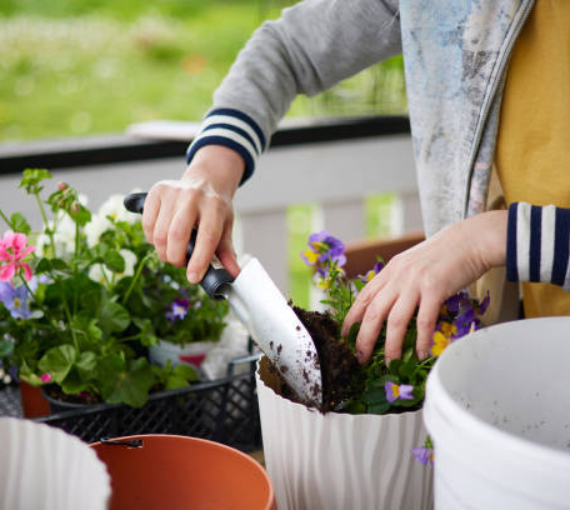 Seeds & Fertilizer Shop