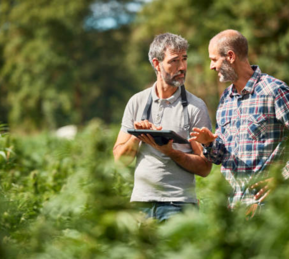 Medicine Herb Farming