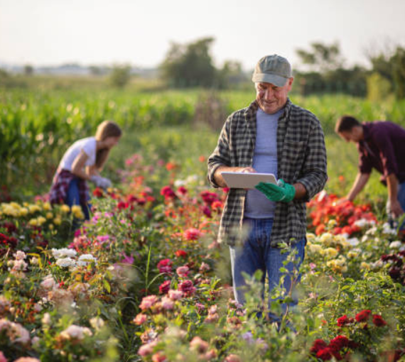 Flower Farming
