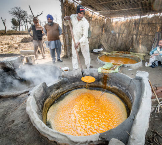 Jaggery Production